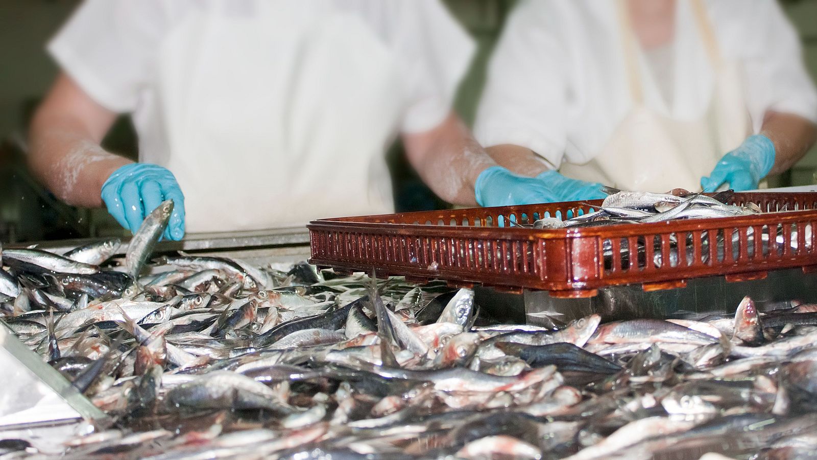 Incertidumbre en las empresas por los bandazos con los aranceles | Ver