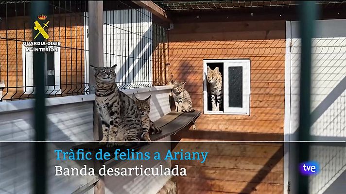 Informatiu Balear - Informatiu Balear en 2' - 14/04/25