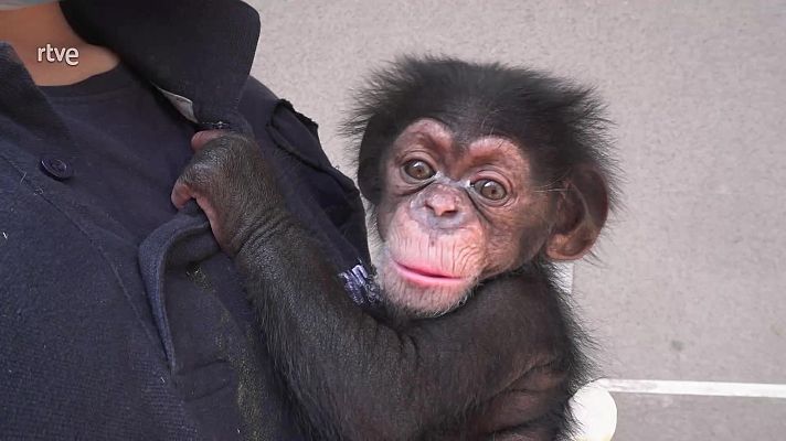 Aquí la Tierra - Aquí la Tierra - 14/04/25