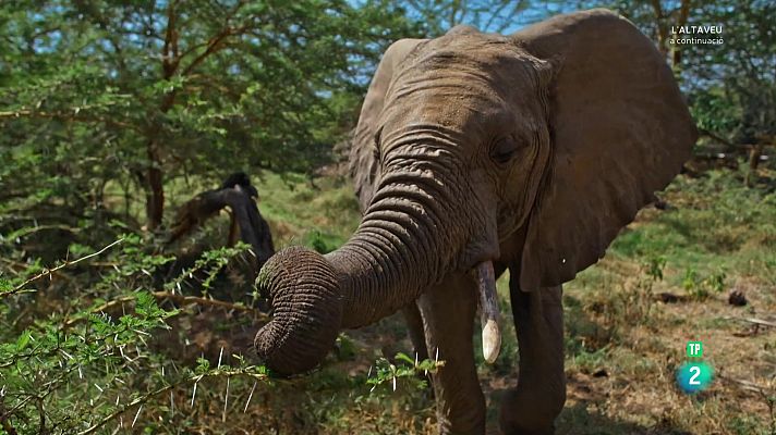 Som Documentals - Planeta en perill: Episodi 2