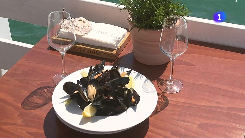 Arrenca la temporada de musclos amb menys producció, però de més qualitat - L'Informatiu | Veure