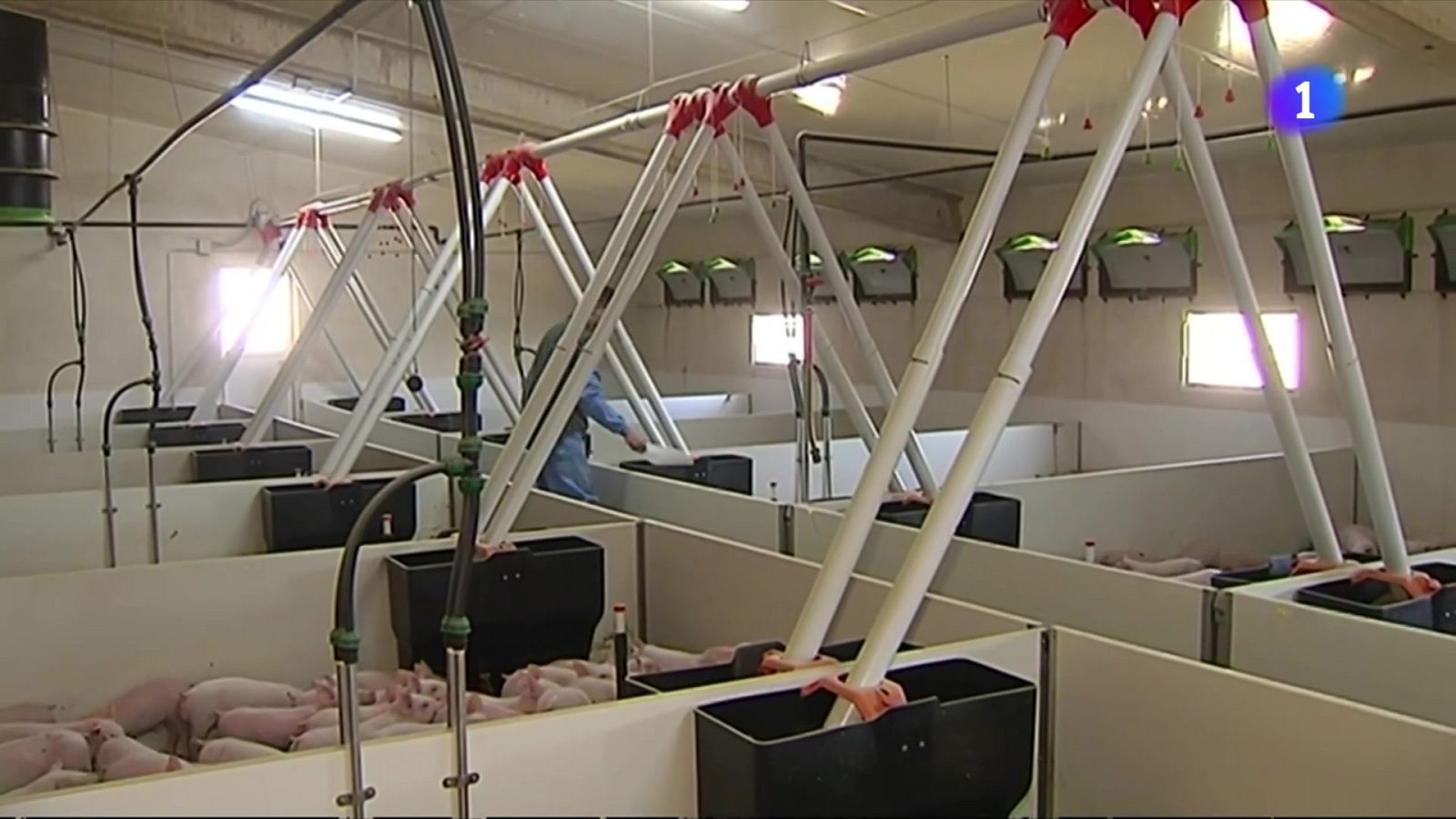 L'Informatiu 2 - 16/04/2025