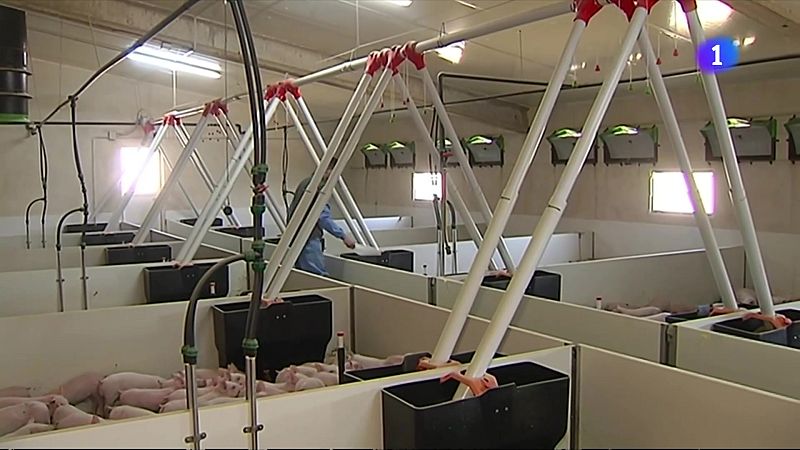 L'Informatiu 2 - 16/04/2025