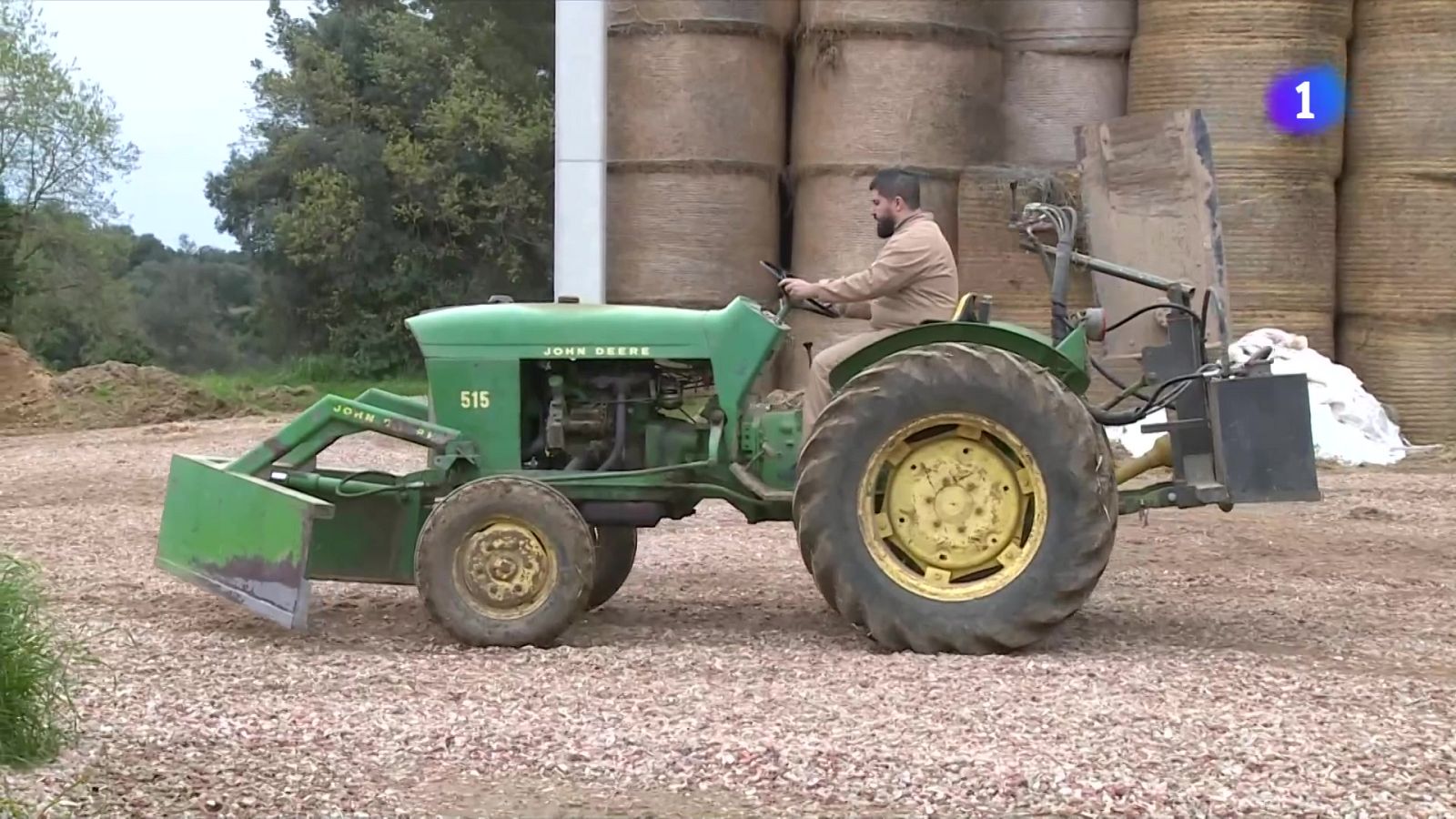 La Bisbal d'Empordà impulsa un curs per formar auxiliars de ramaderia - L'Informatiu | Veure