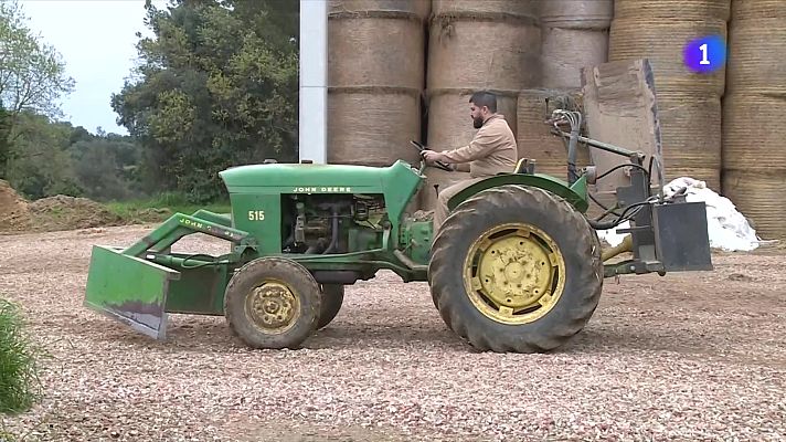 L'Informatiu - La Bisbal d'Empordà impulsa un curs per formar auxiliars de ramaderia