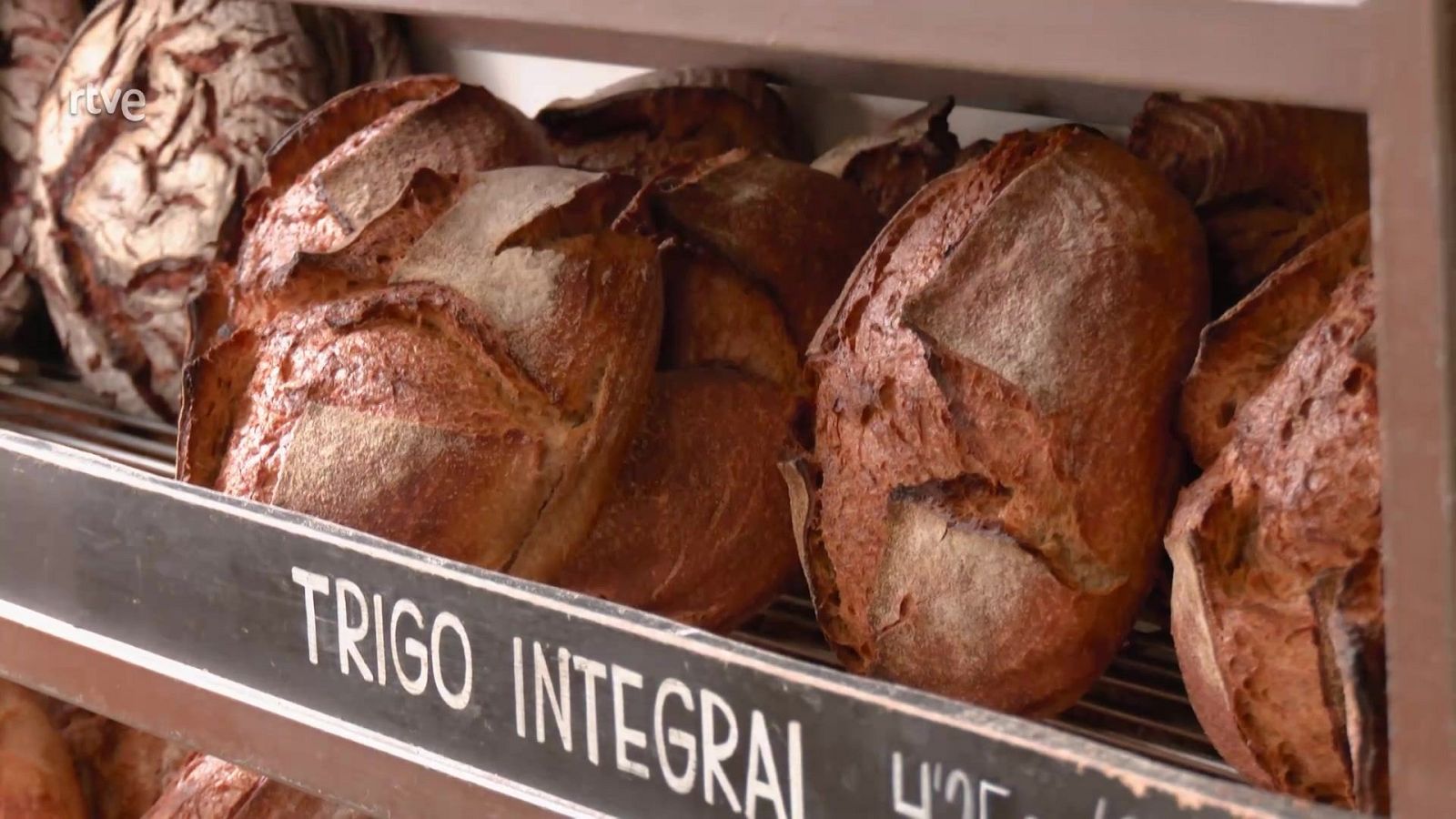 Aquí la Tierra - 16/04/25 - ver ahora