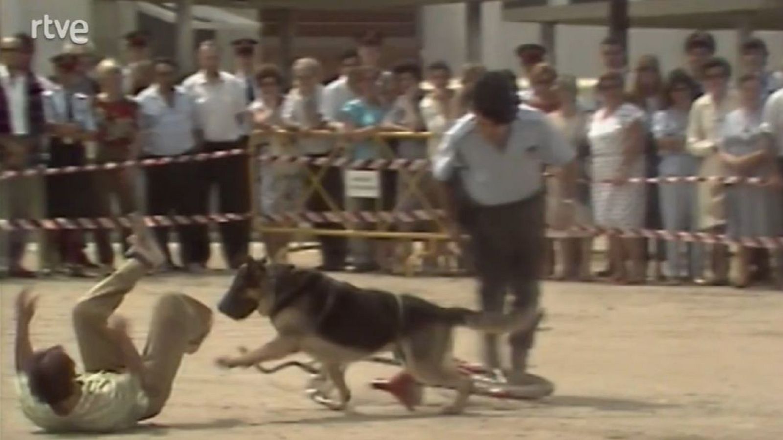 Arxiu TVE Catalunya - Mostra d'habilitats a l'escola de Policia de Catalunya - Arxiu TVE Catalunya | Veure