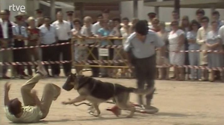 Arxiu TVE Catalunya - Mostra d'habilitats a l'escola de Policia de Catalunya