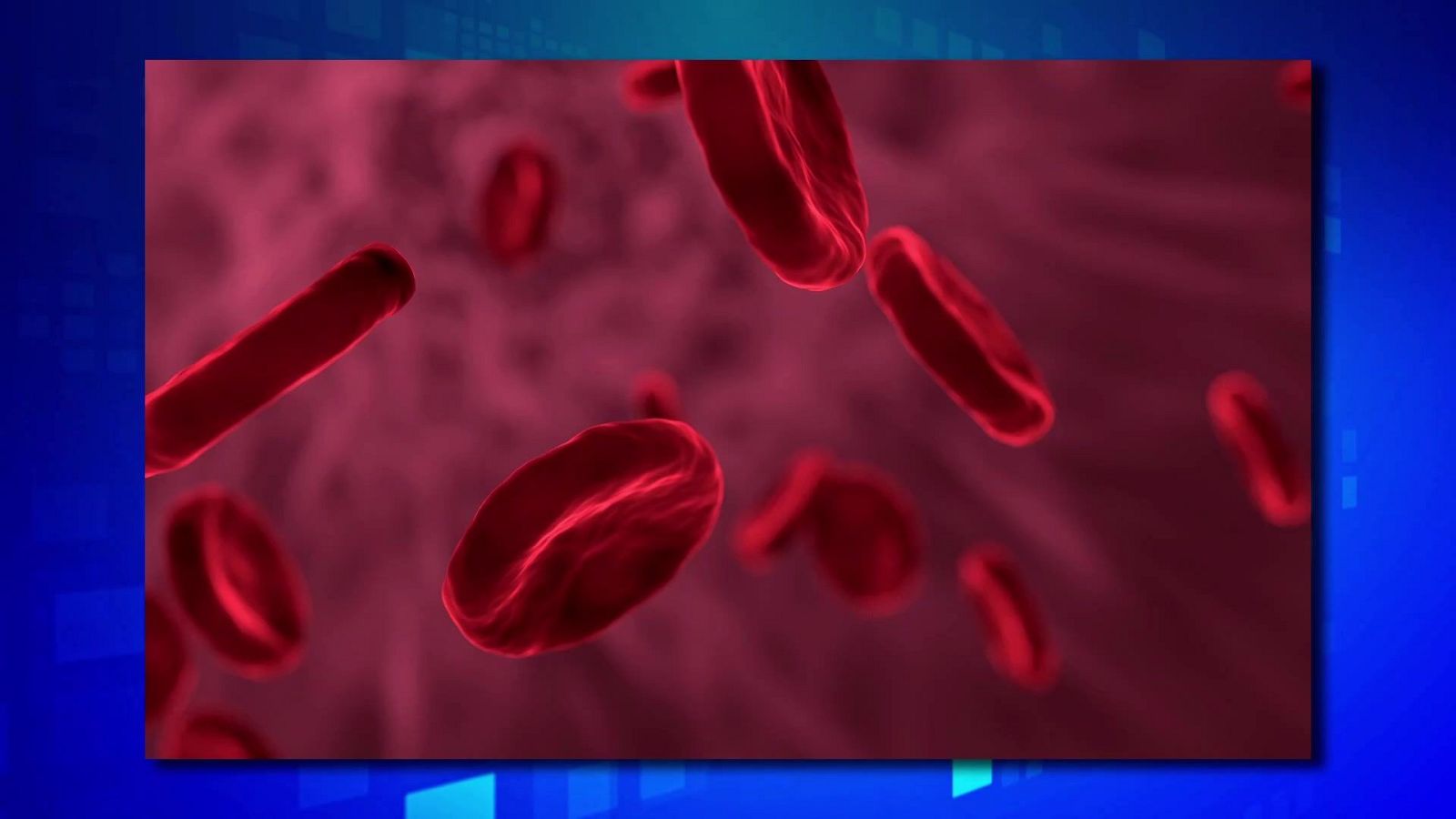 Saber y ganar - 17/04/25 - ver ahora