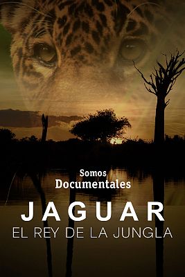 Jaguar, el rey de la jungla