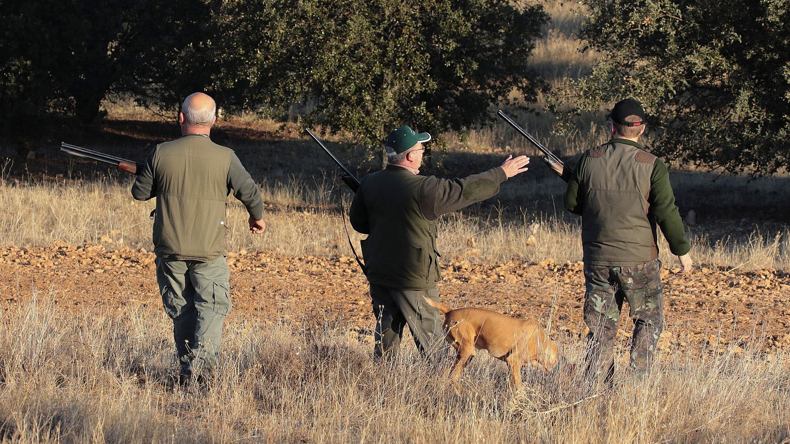 La Unión Europea plantea prohibir el uso de plomo en la caza - Telediario 2 | Ver