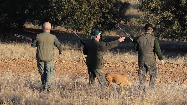 Telediario 2 - La Unión Europea plantea prohibir el uso de plomo en la caza
