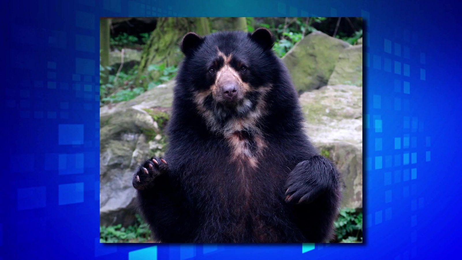 Saber y ganar - 22/04/25 - ver ahora