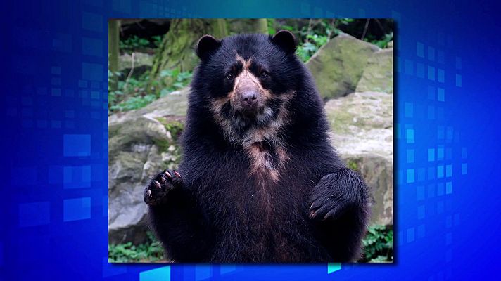 Saber y ganar - Saber y ganar - 22/04/25