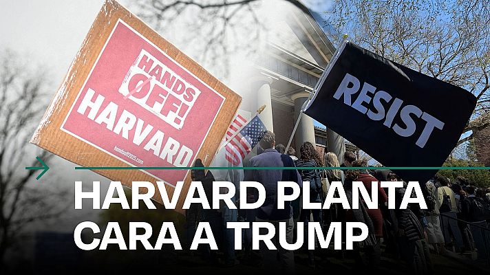 Modo Digital - Harvard denuncia a la Administración Trump por la congelación de fondos