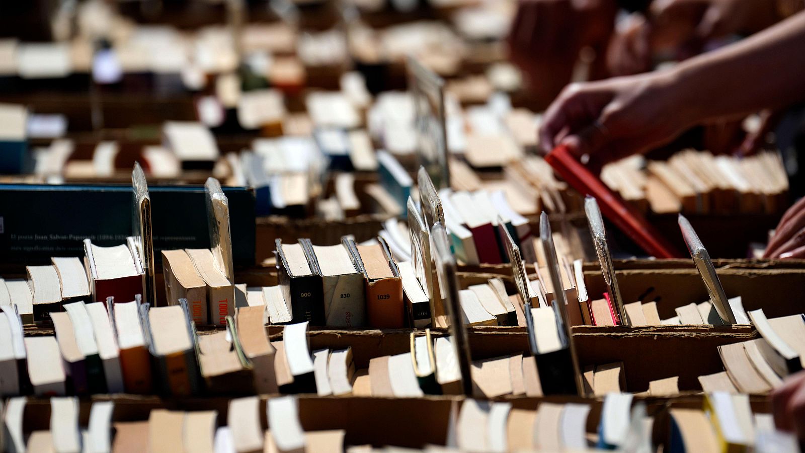 Abril, un mes lleno de literatura - La tarde en 24h | Ver