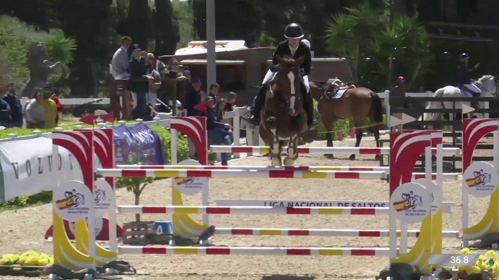 Hípica - Liga Nacional de saltos. Prueba Valencia - ver ahora