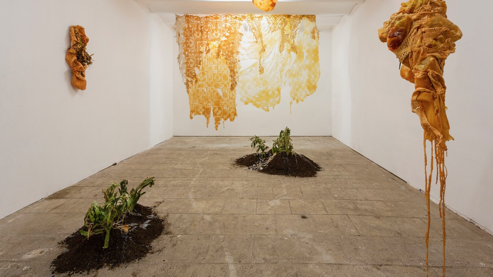 Exposición de arte con esculturas orgánicas de tierra y plantas, una obra dorada rasgada en la pared y una escultura dorada colgante de textura rugosa.