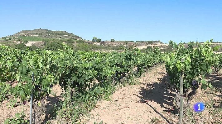 Informativo Telerioja - Informativo Telerioja 2 - 24-04-2025