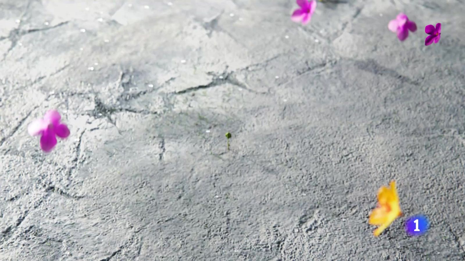 El tiempo en Galicia    24-04-2025 | Ver