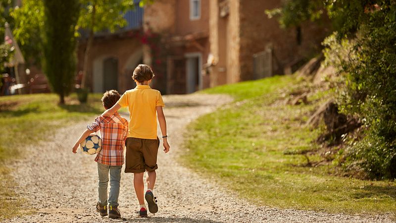 Evitar la separación de hermanos en el sistema de acogida contribuye a su bienestar - Telediario 1 | Ver