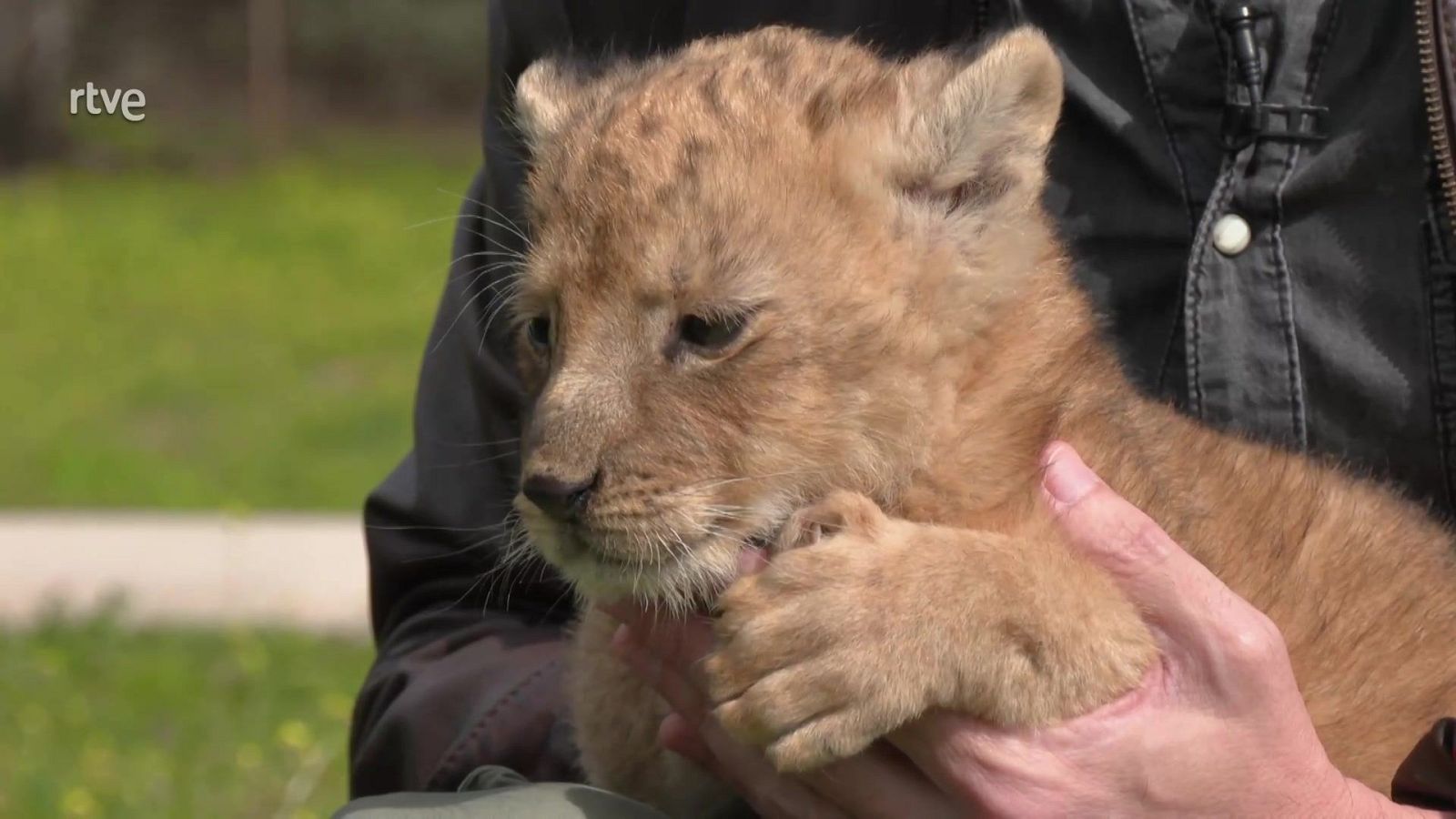 Aquí la Tierra - 25/04/25 - ver ahora