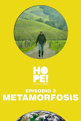Metamorfosis