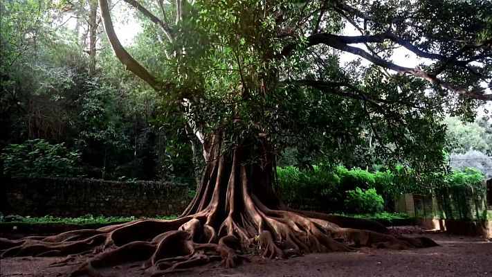 La aventura del Saber - Agenda natural