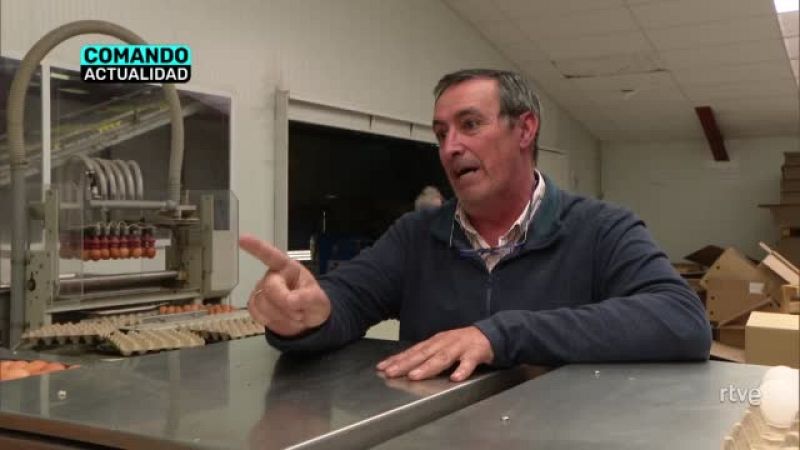 'Faltan huevos', en 'Comando Actualidad' | Ver