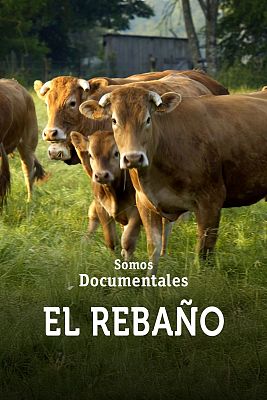 Somos Documentales - El rebaño