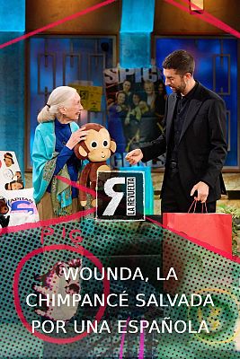 La Revuelta - Wounda, la chimpancé salvada por una española