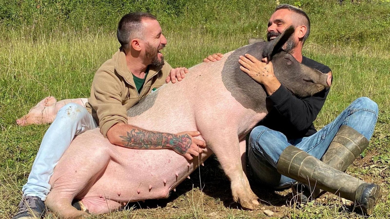 Fundación Santuario Gaia - Para todos La 2 | Ver