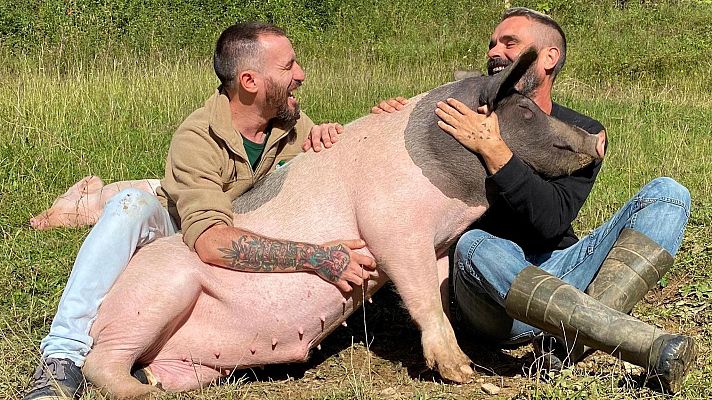 Para todos La 2 - Fundación Santuario Gaia