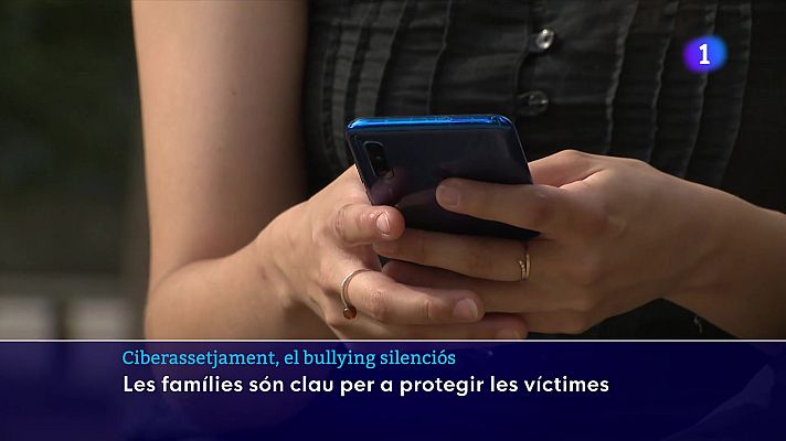 L'Informatiu - El ciberassetjament representa el 30% de casos de violència a les escoles catalanes
