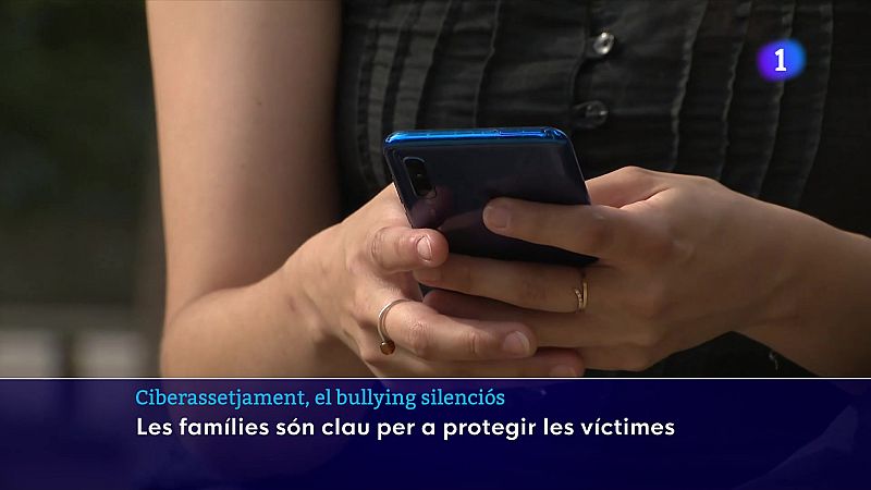 El ciberassetjament representa el 30% de casos de violència a les escoles catalanes - L'Informatiu | Veure