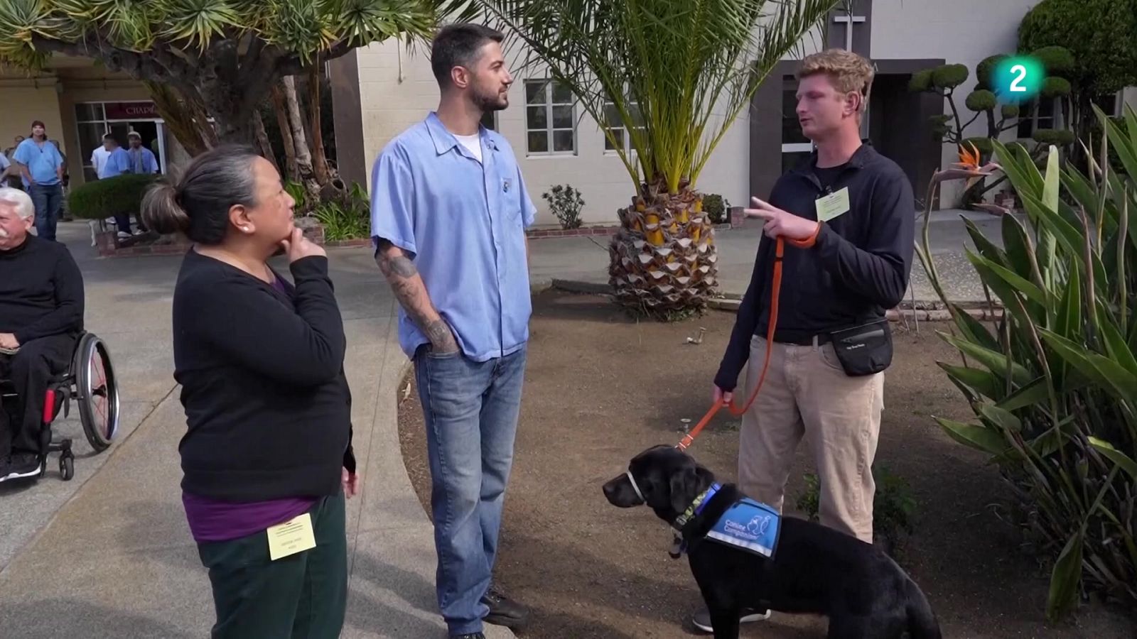 Presos de San Quintín entrenan a futuros perros de asistencia - En lengua de signos | Ver