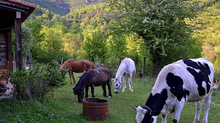 Para todos La 2 - Para todos La 2 - 03/05/25