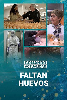 Comando Actualidad - Faltan huevos