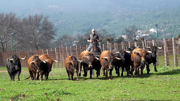 Tendido cero - Tendido Cero - 03/05/25