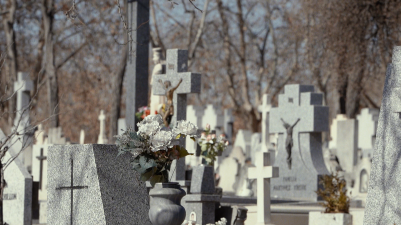 El escarabajo verde - Memento Mori