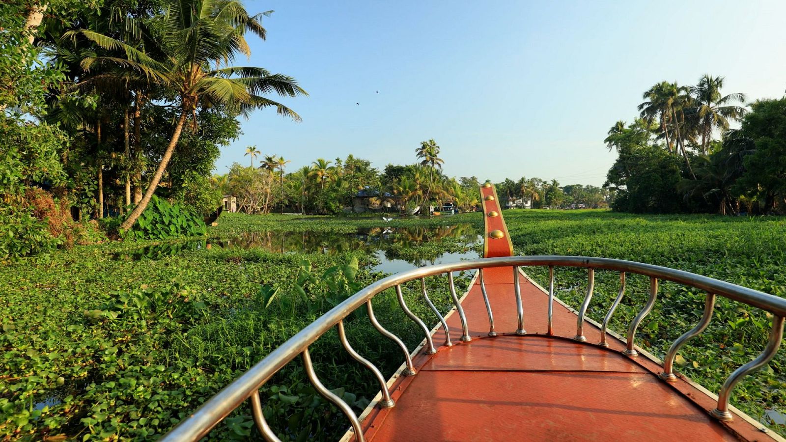 Sabores del mundo - Kerala, el jardín de la India - ver ahora
