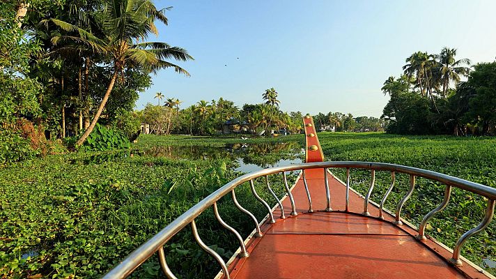 Sabores del mundo - Kerala, el jardín de la India