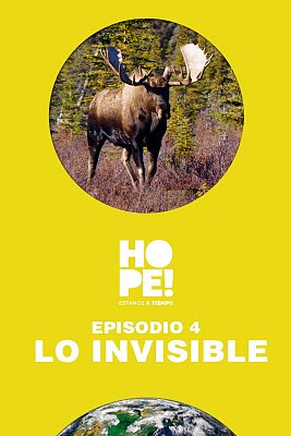Lo invisible