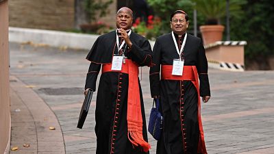 En el pr�ximo c�nclave votan 33 cardenales de diferentes �rdenes religiosas