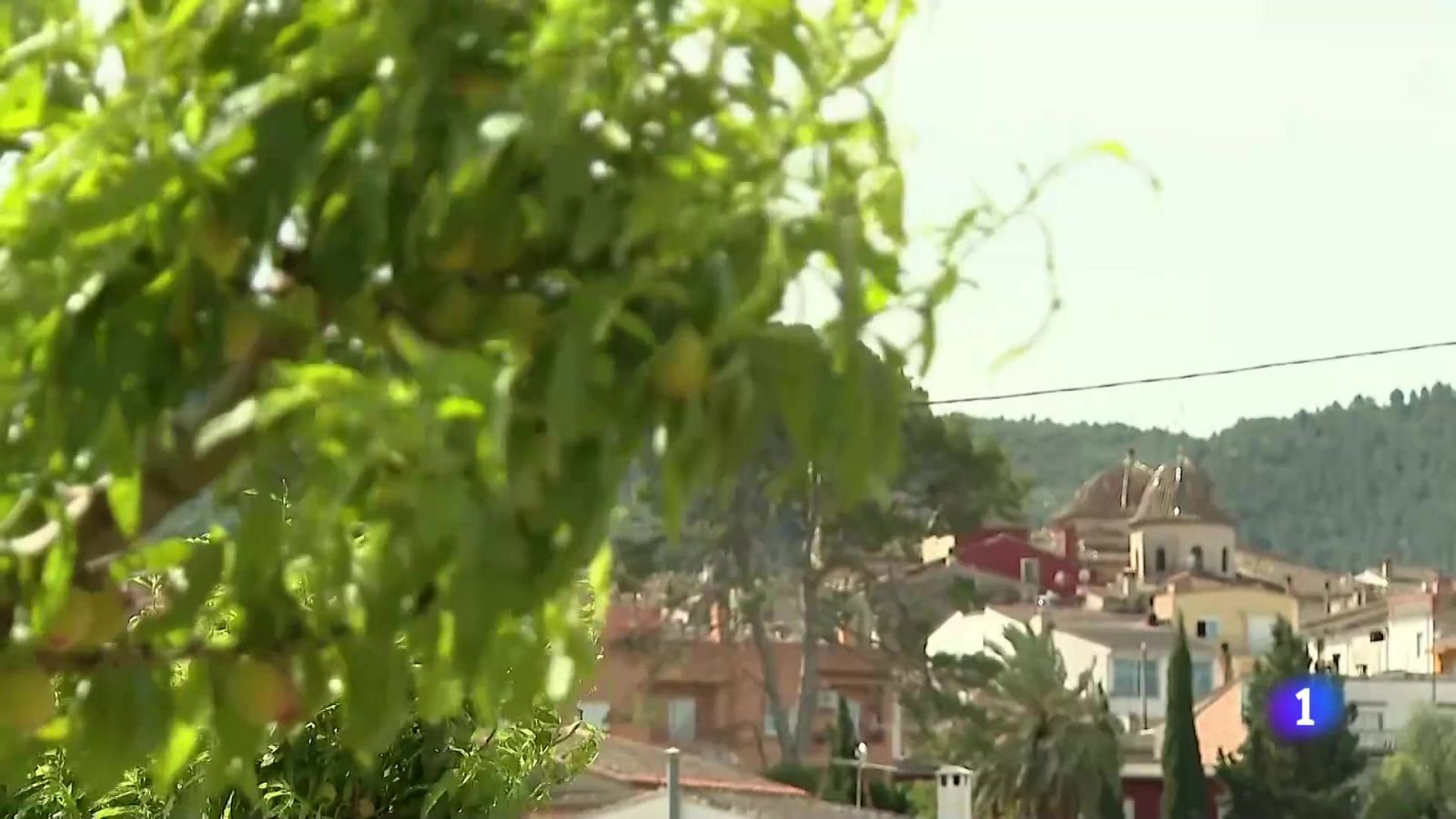 L'Informatiu Comunitat Valenciana 2 - 05/05/25 | Ver