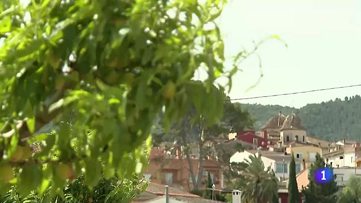 L'informatiu - Comunitat Valenciana - L'Informatiu Comunitat Valenciana 2 - 05/05/25