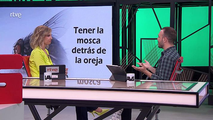 La aventura del Saber - La aventura del saber - 06/05/25