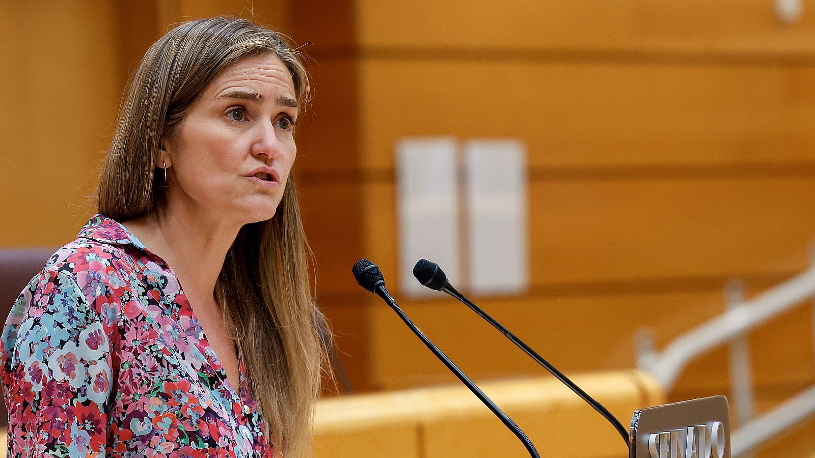 El Gobierno avisa de que la investigación para esclarecer las causas del apagón durará entre tres y seis meses - Telediario 2 | Ver