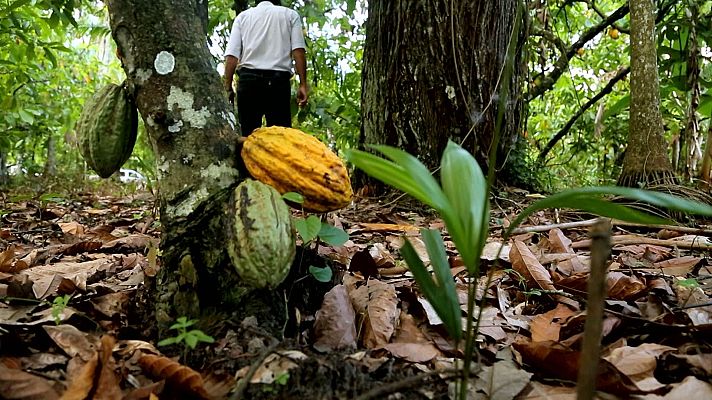 Forjadores del mañana - Proteger la biodiversidad