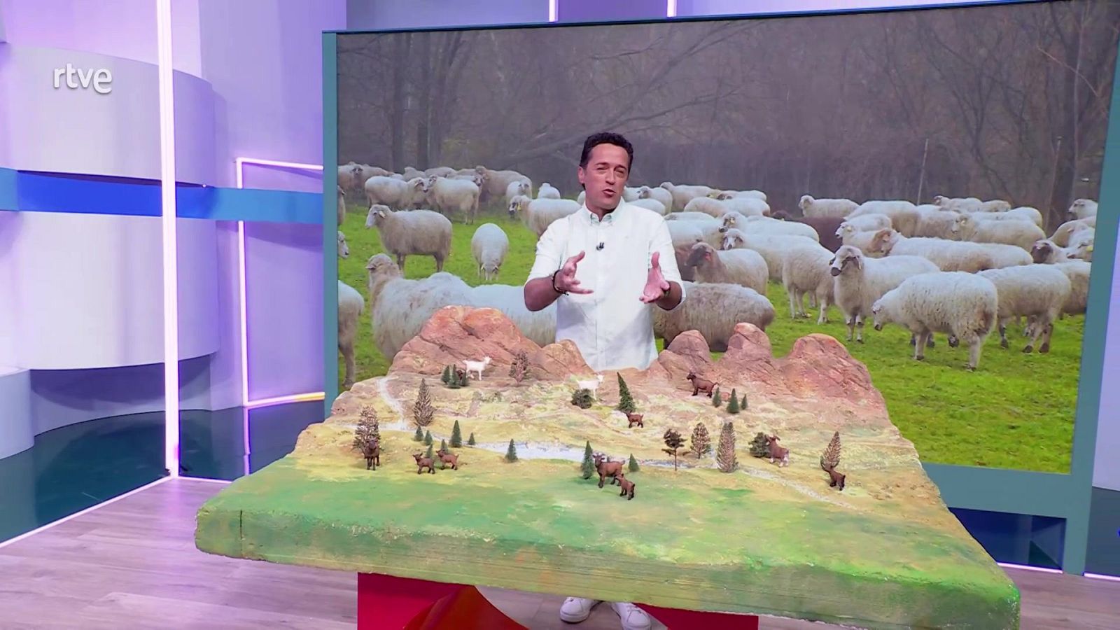 Aquí la Tierra - 07/05/25 - ver ahora